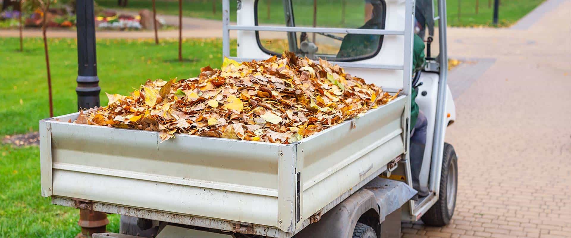 Leaf Pickup Haul Away