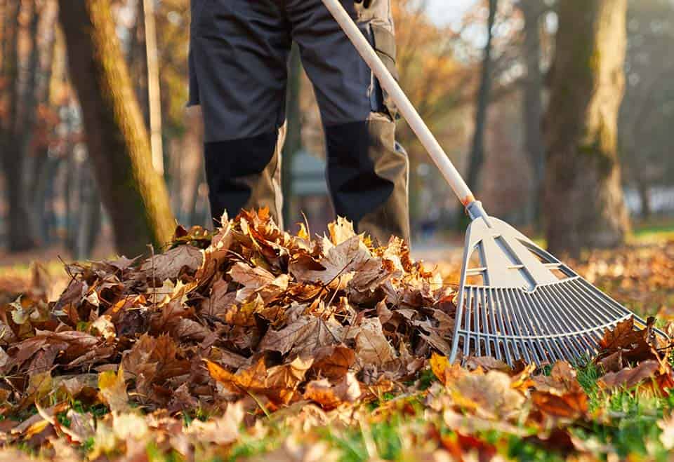 Seasonal Cleanups