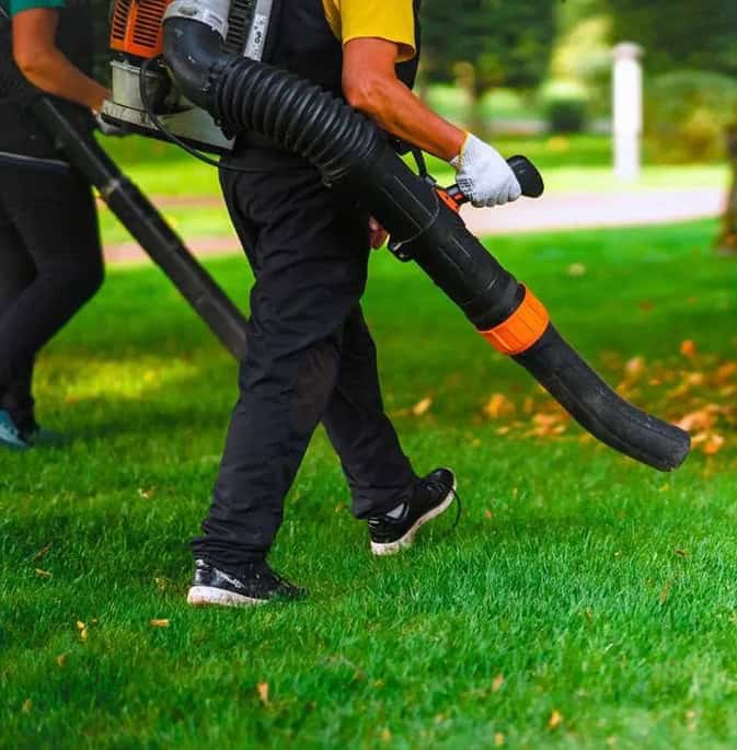 Leafs Cleanup Isle Of Palms, SC
