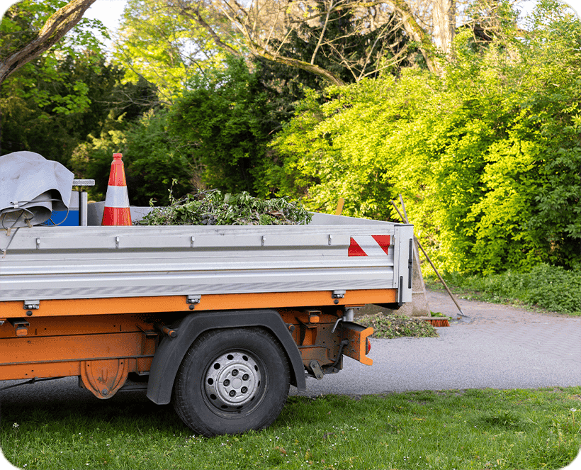 Leaf Removal Isle Of Palms, SC