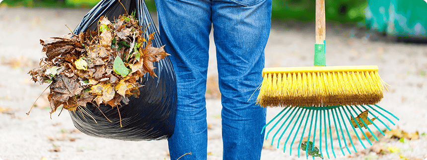 Leafs Cleanup Seabrook Island, SC