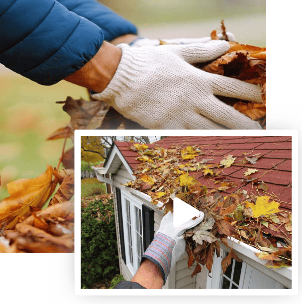 Leafs Cleanup Sullivan's Island, SC