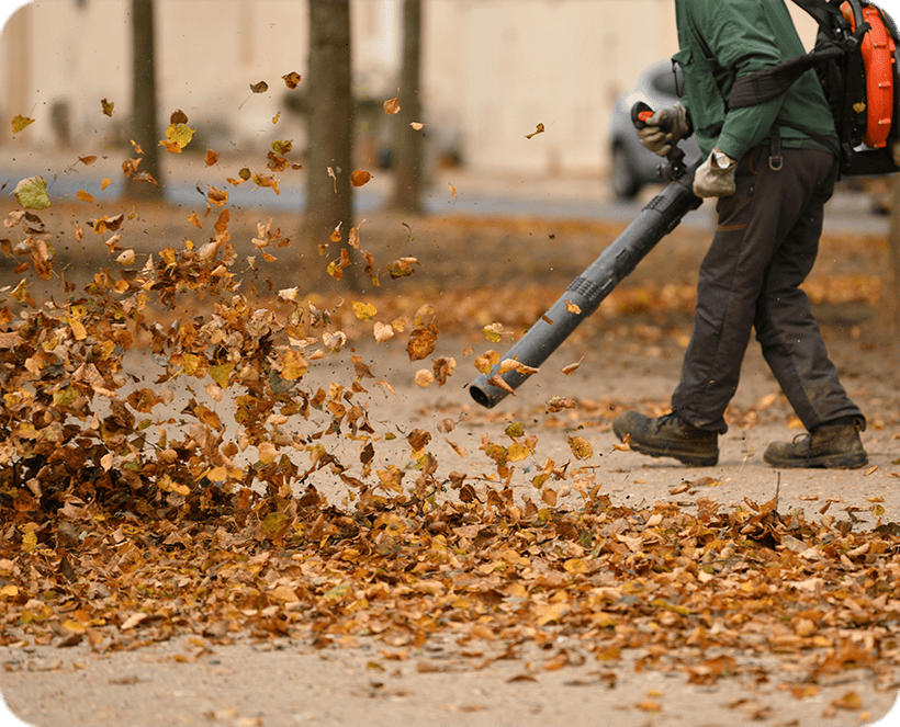 Leaf Removal Summerville, SC