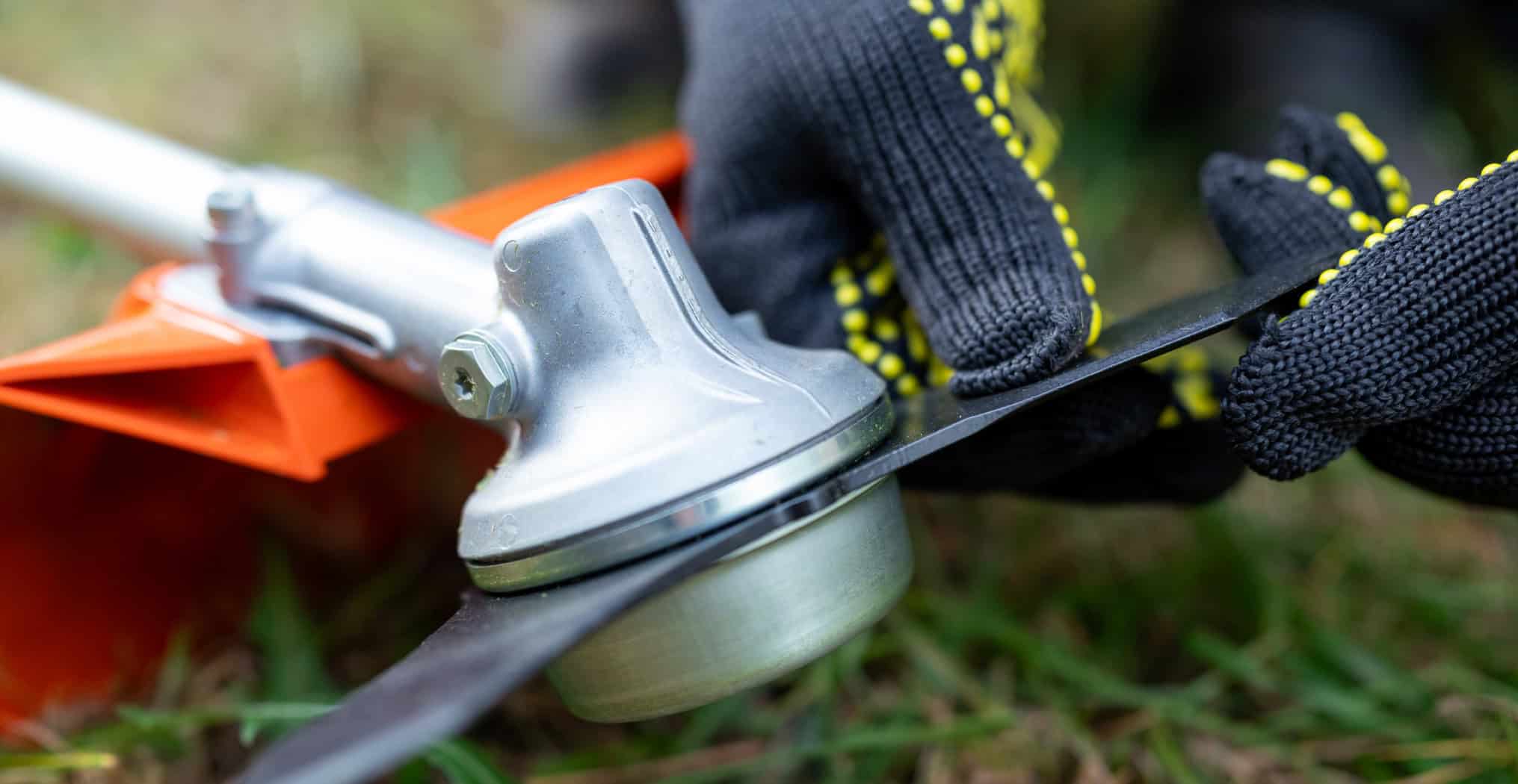 Backyard Mowing Before And After Hollywood, SC