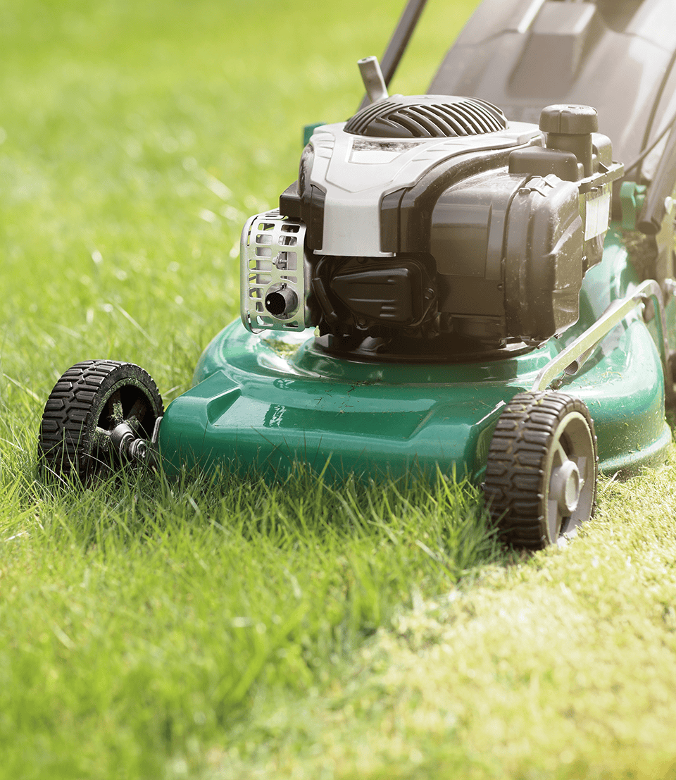 2 Leaf Crew Landscaping McClellanville, SC